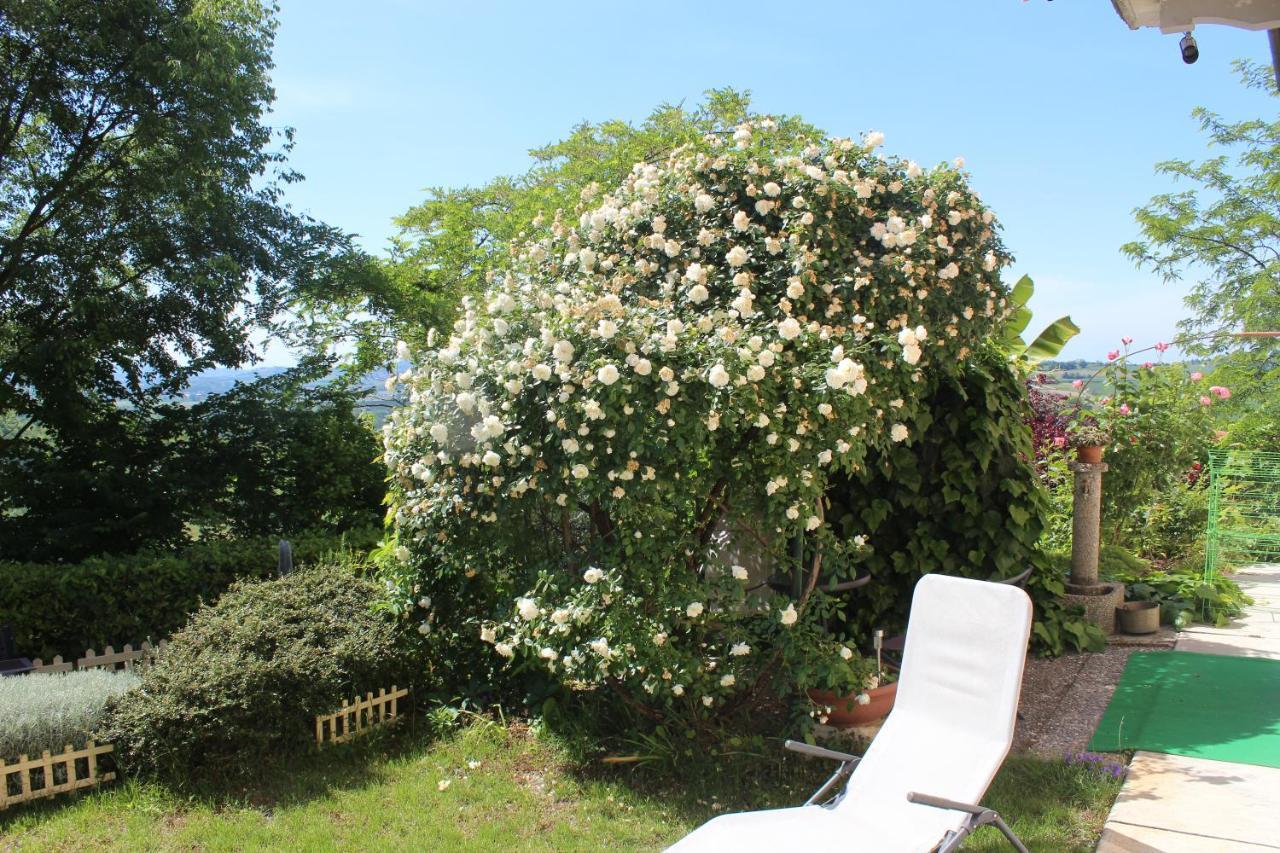 Apartamento La Terrazza Sul Monferrato Ozzano Monferrato Exterior foto