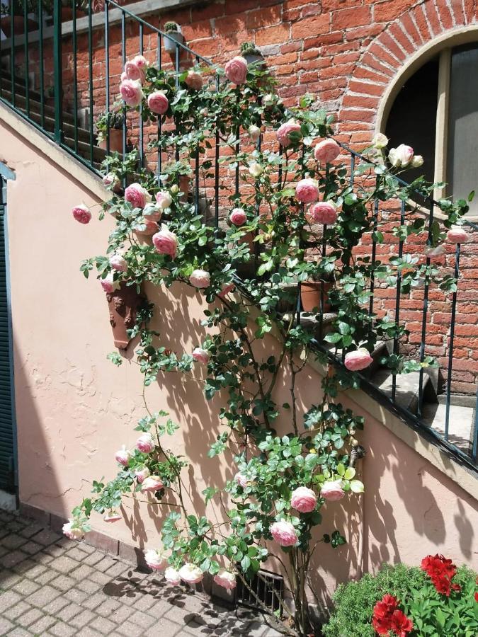 Apartamento La Terrazza Sul Monferrato Ozzano Monferrato Exterior foto