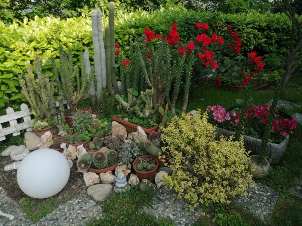 Apartamento La Terrazza Sul Monferrato Ozzano Monferrato Exterior foto